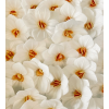 Kwiat na tort waflowa ozdoba dekoracja tortu urocze trwałe biały hortensja 18szt